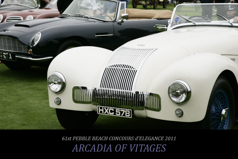 ARCADIA OF VITAGES